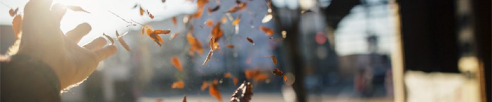 combattere la depressione autunnale sole e foglie